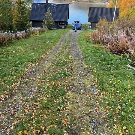 Koselig Ved Sjoen Og Lyngsalpene *