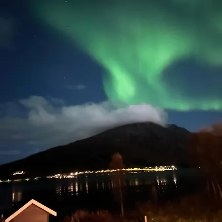 Koselig Ved Sjoen Og Lyngsalpene